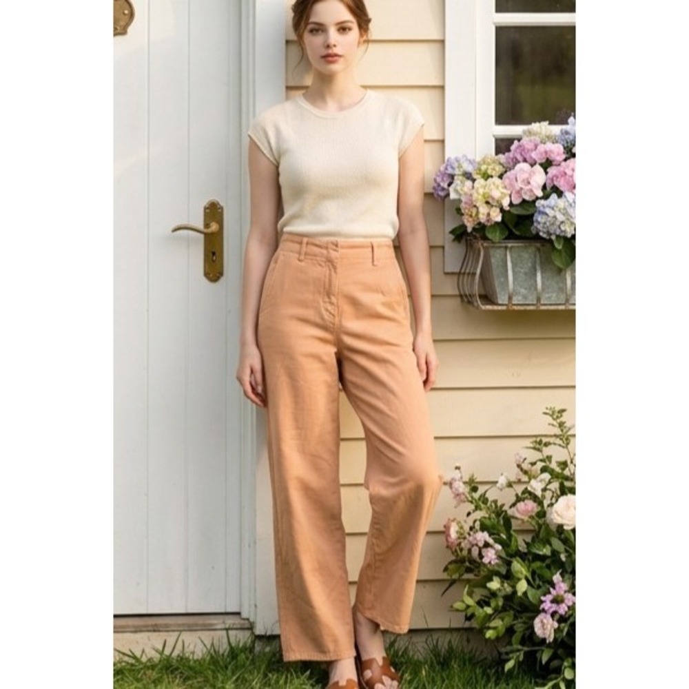 Aritzia Wilfred Free Ascendant Utility Pants Dark Khaki Baggy SZ 6 Stretch